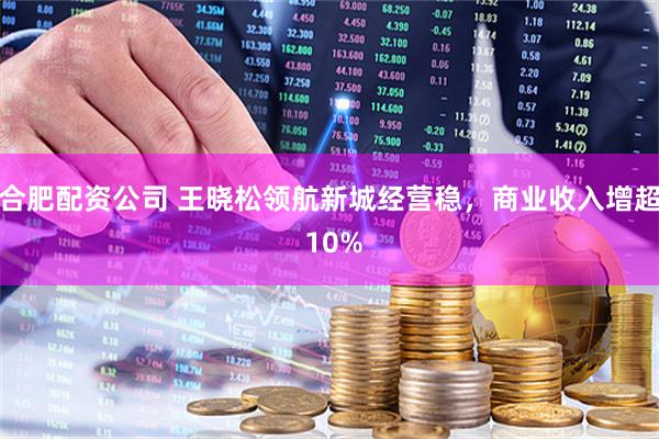 合肥配资公司 王晓松领航新城经营稳，商业收入增超 10%