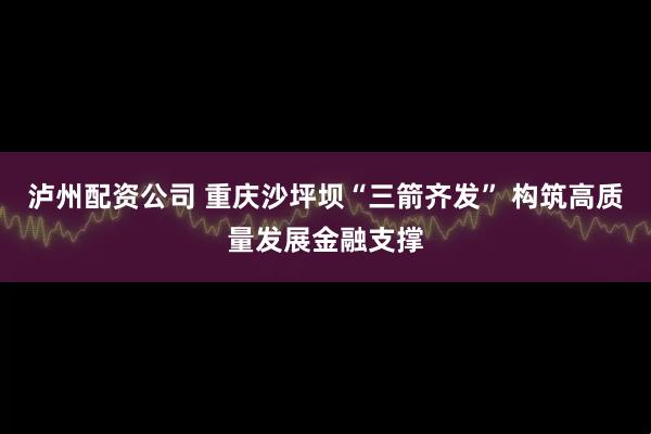 泸州配资公司 重庆沙坪坝“三箭齐发” 构筑高质量发展金融支撑