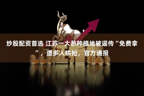 炒股配资首选 江苏一大葱种植地被谣传“免费拿”，遭多人哄抢，官方通报